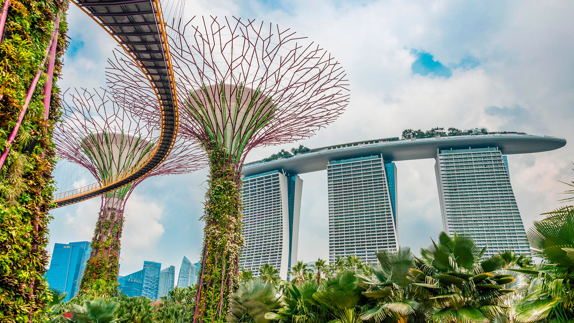 Paxos, el emisor de USDP, obtiene la licencia para operar en Singapur