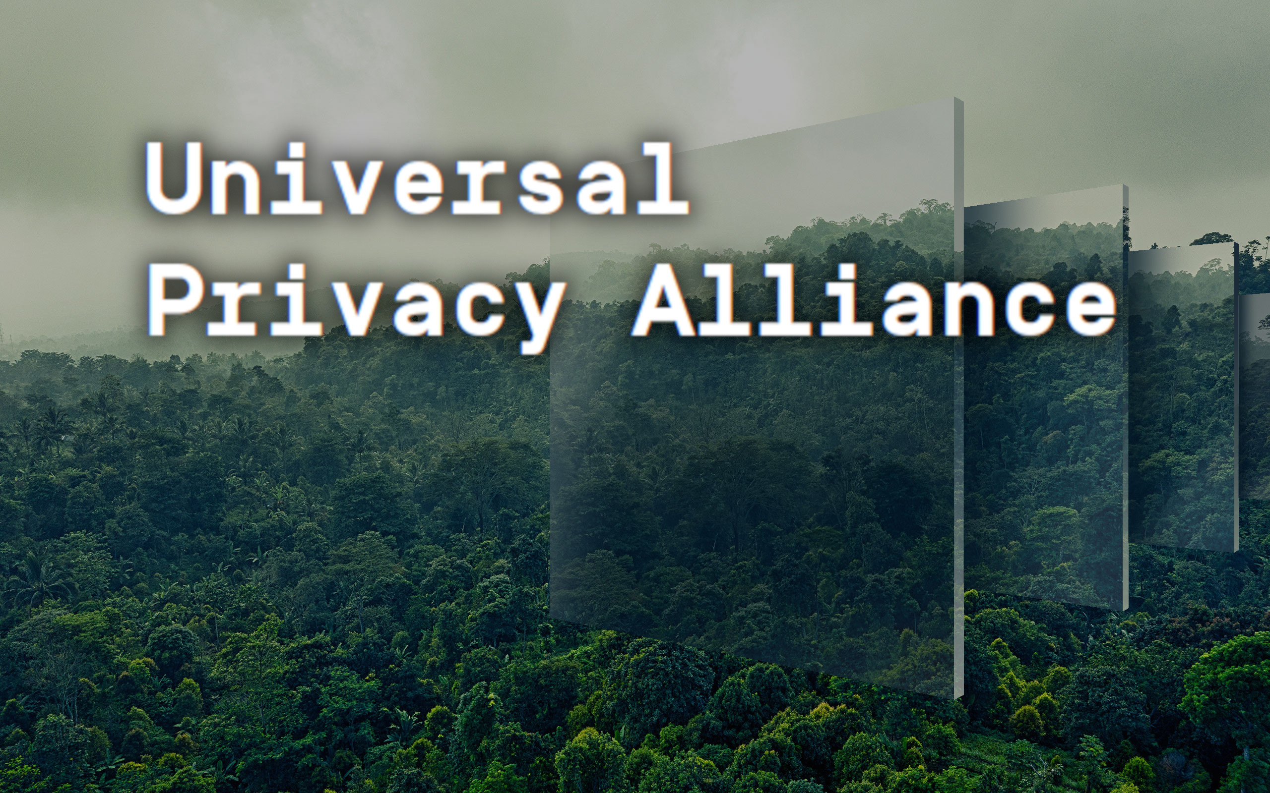 ¿Qué es la Universal Privacy Alliance (UPA) y qué objetivo tiene en el ecosistema?