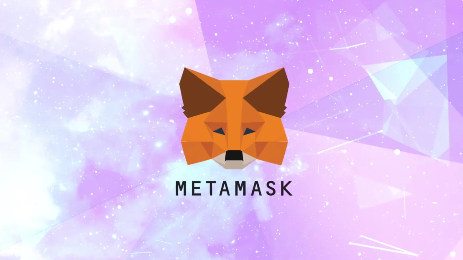 Metamask introdujo funciones para mejorar la privacidad