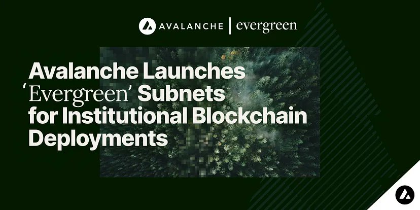 Avalanche creará la subred Evergreen dirigida a instituciones financieras