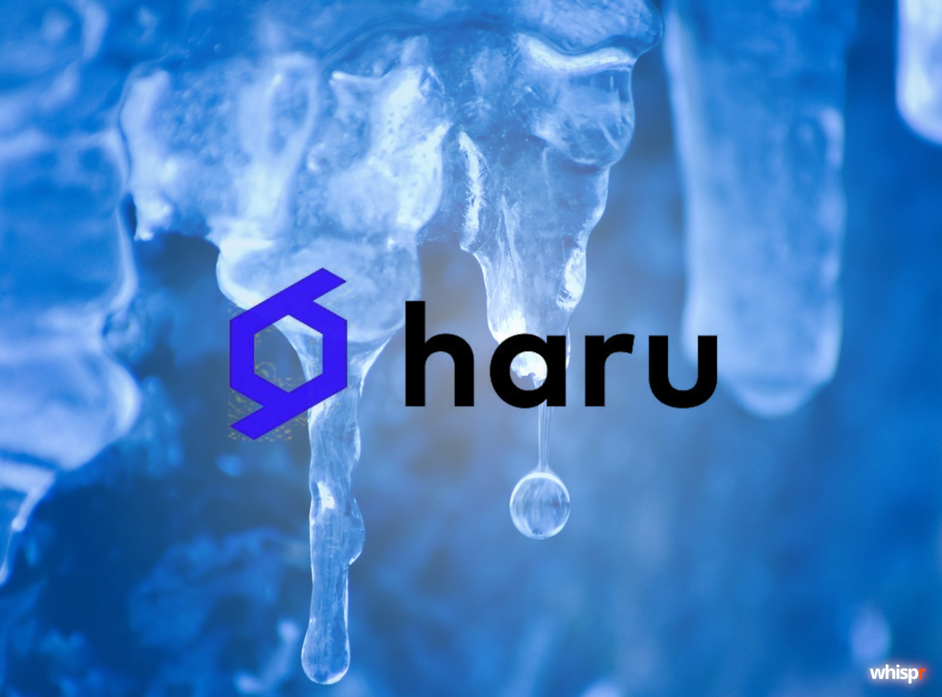 Crypto Earn Haru Invest congela los retiros en su plataforma
