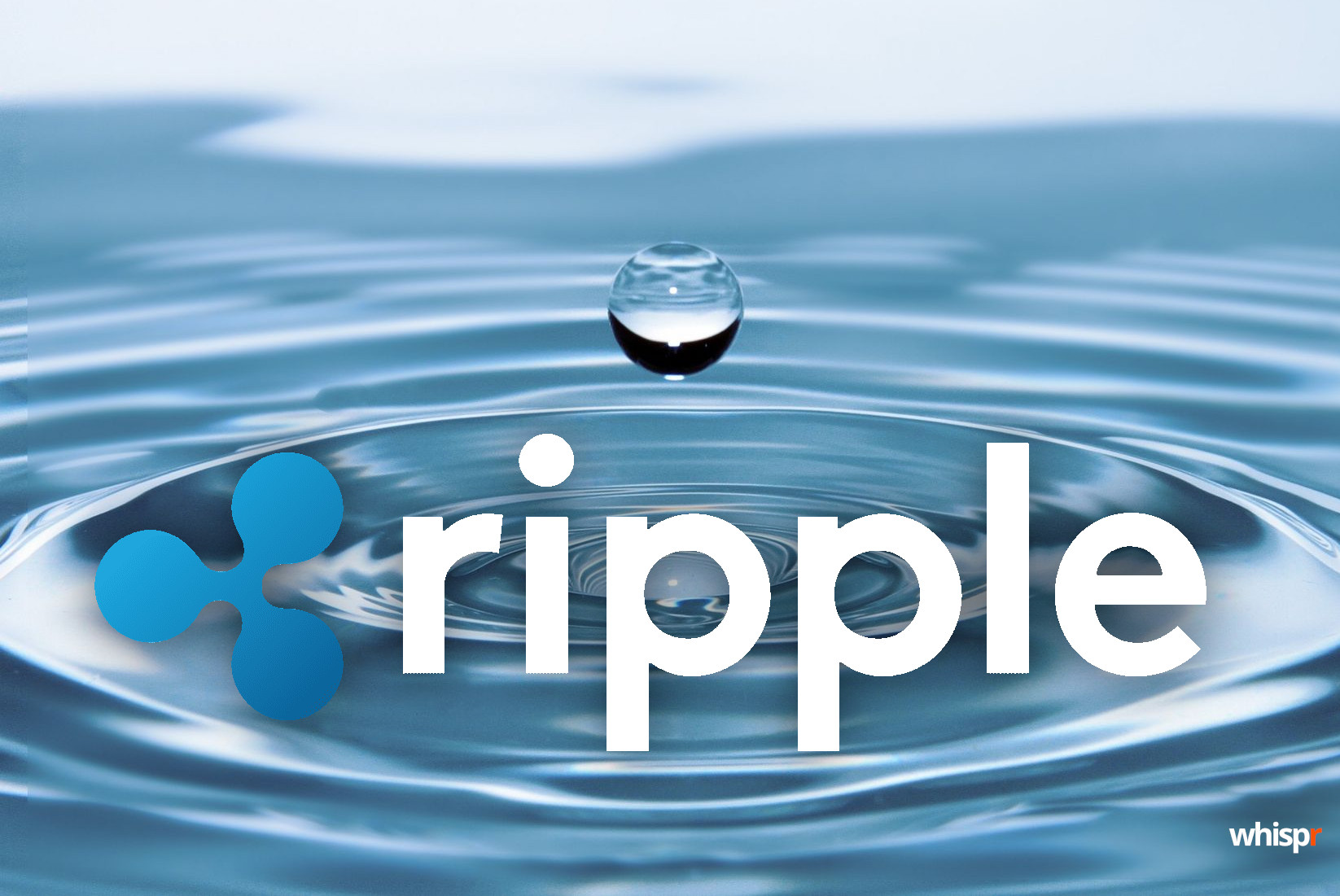 ¿Cuándo podría llevarse a cabo la Oferta Pública Inicial (IPO) de Ripple (XRP)?