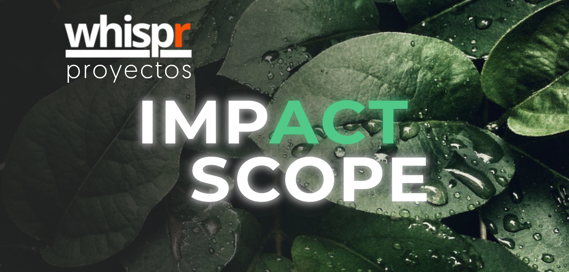 ImpactScope: Un nuevo paradigma en la medición y financiación del impacto en sostenibilidad
