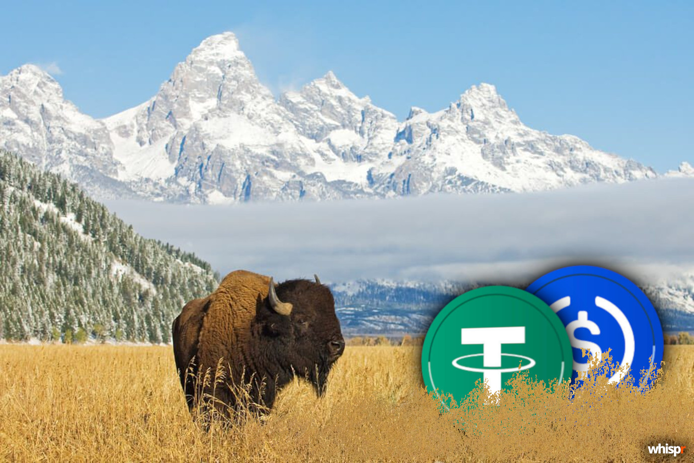Wyoming lanza FRNT, la primera stablecoin gubernamental de EE.UU. en siete blockchain