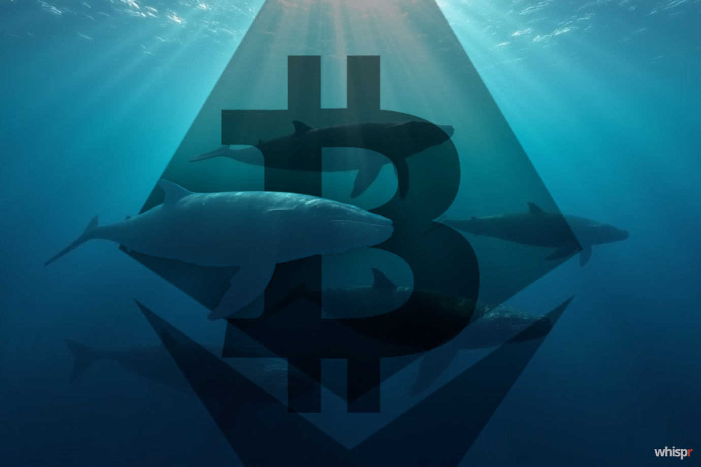 Ballenas abandonan Bitcoin por Ethereum: $4 mil millones cambian de bando en agosto