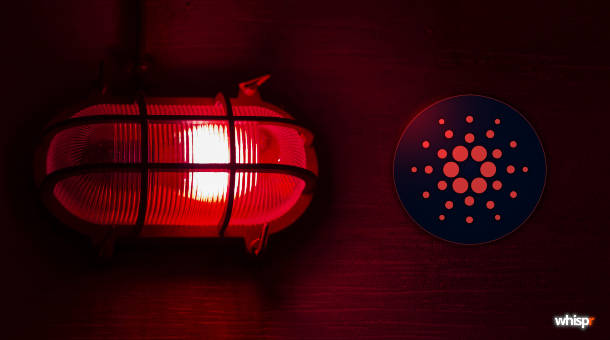 Cardano supera una división temporal de su cadena por un error explotado con IA